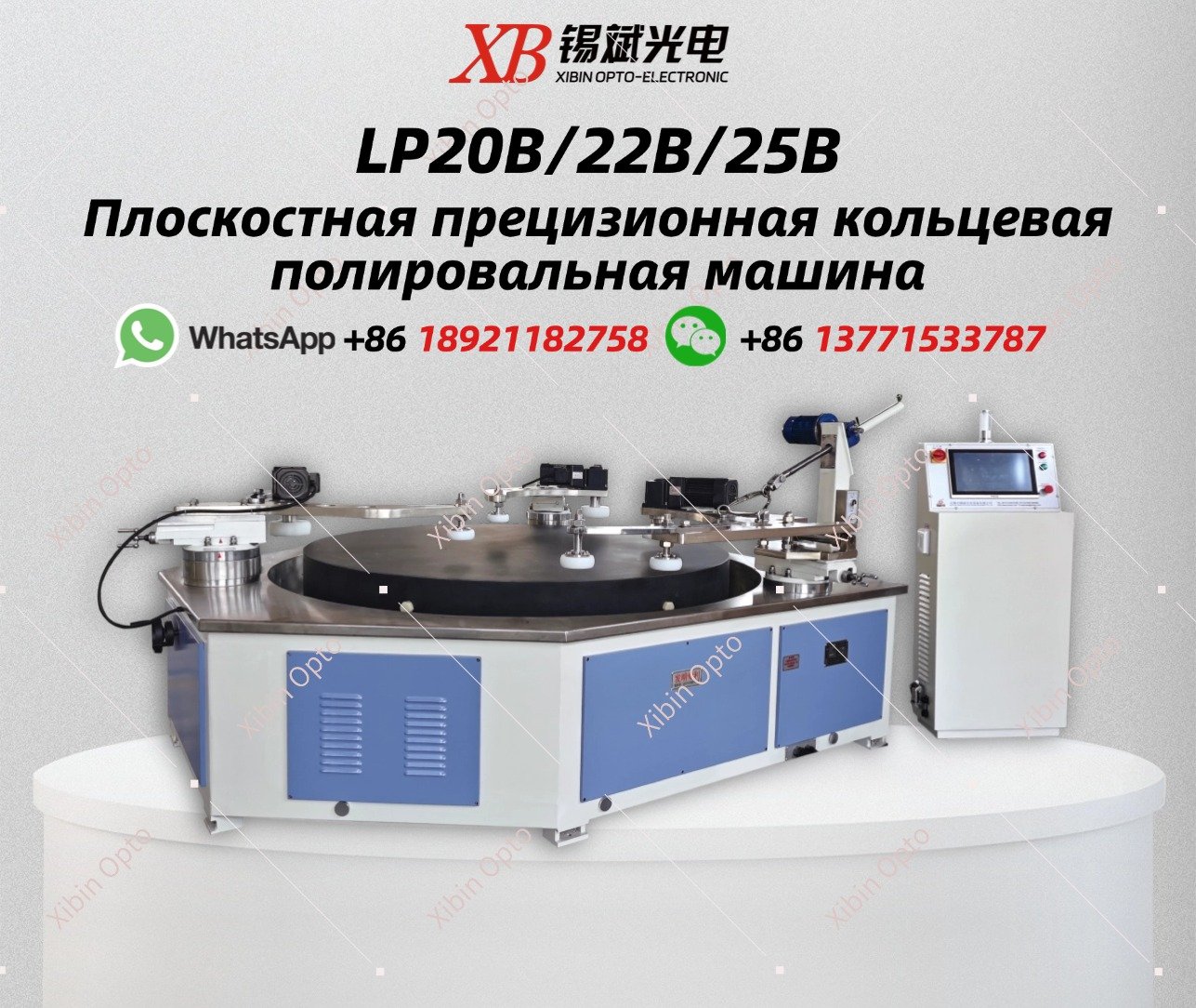LP20B/22B/25B Plane Precision Ring Polisher